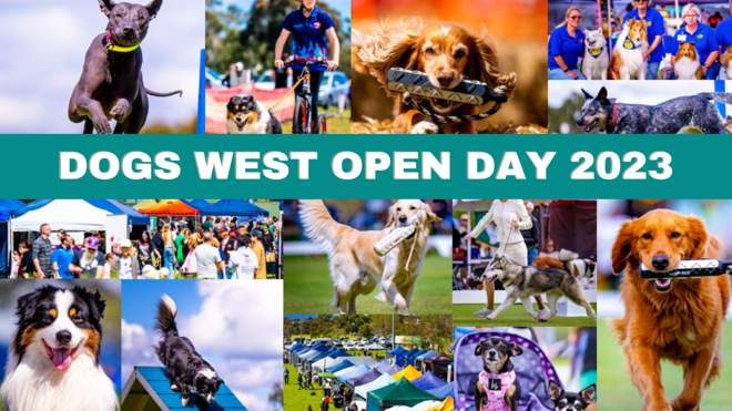 Open Day 23 Banner 72%