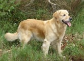 Retr 2005