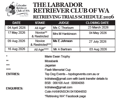 Screenshot 2026-03-24 160947