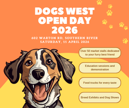 Screenshot 2026-03-20 162554