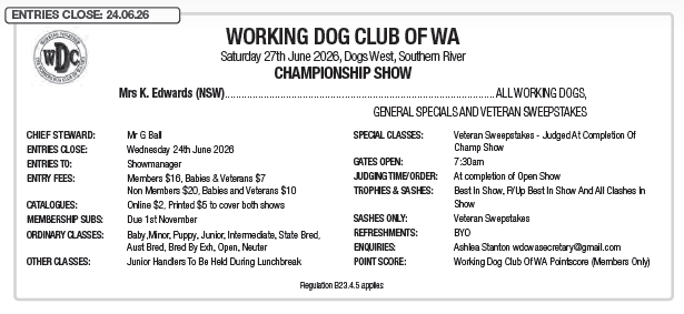 Screenshot 2026-04-20 142904